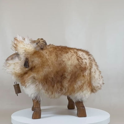 Ovčji stolac Aries dječji stolac "Junior" odabrani Bua ograničeni dips