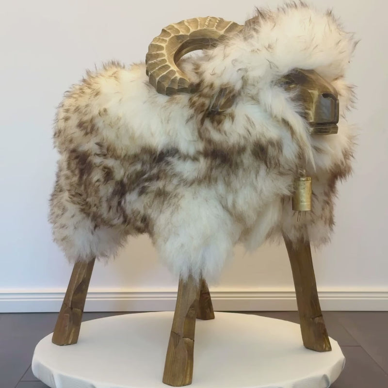 Schafhocker Jack das Mufflon