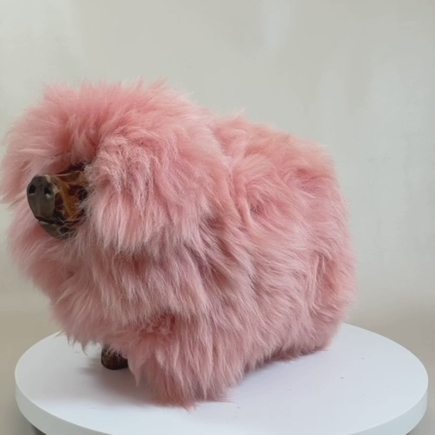 Video laden: Premium Tierhocker Kinderhocker Schweinchen »Babe« das süße Wollschwein" rosa