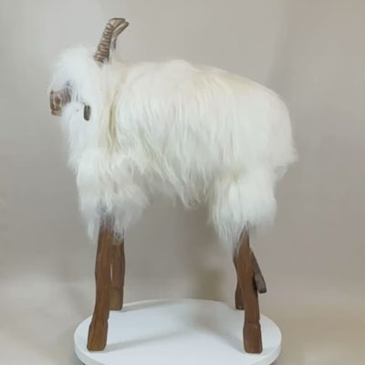 Design barkrakk dyrekrakk sauekrakk "Resi" den frekke geiten" Island hvit