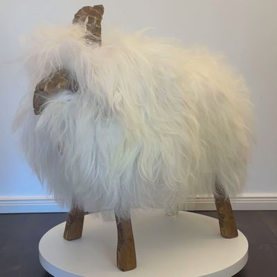 Schafhocker Video ZELDA 
Geschlecht: weiblich
Farbe: Eisbärweiß
Fellart: Island Schaffell
