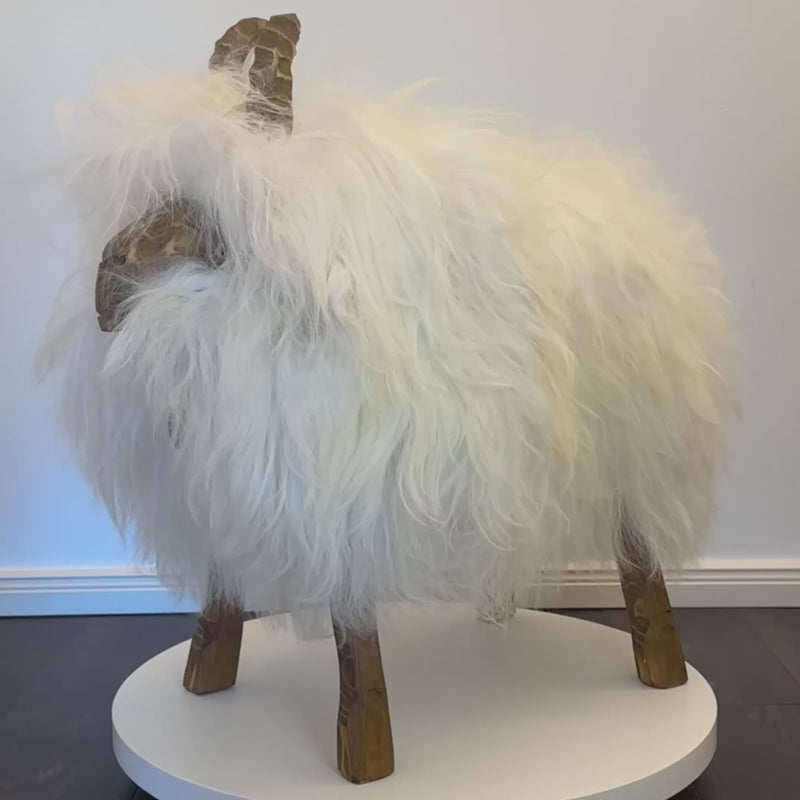 Schafhocker Video ZELDA 
Geschlecht: weiblich
Farbe: Eisbärweiß
Fellart: Island Schaffell