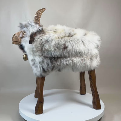 naprosto unikátní kus ovčí stoličky kozí »Shaggy« designová zvířecí stolička