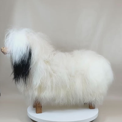 Tierhocker Hund »Bello« Islandfell weiß Hocker Fellbank