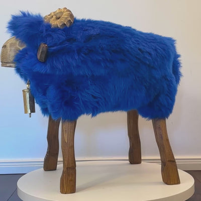 Ovčji stolac »William« kraljevski Bua plavi dizajnerski stolac za životinje Aries