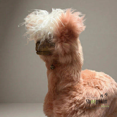 Schafhocker Alpaka »Chili« Designer Hocker Tierhocker rosa