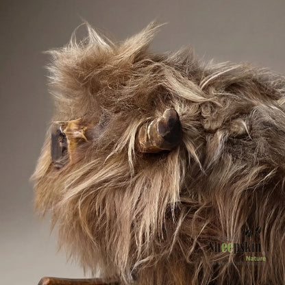 Schafhocker »Filo« das Schaukelschaf Stier Schaukelkuh für